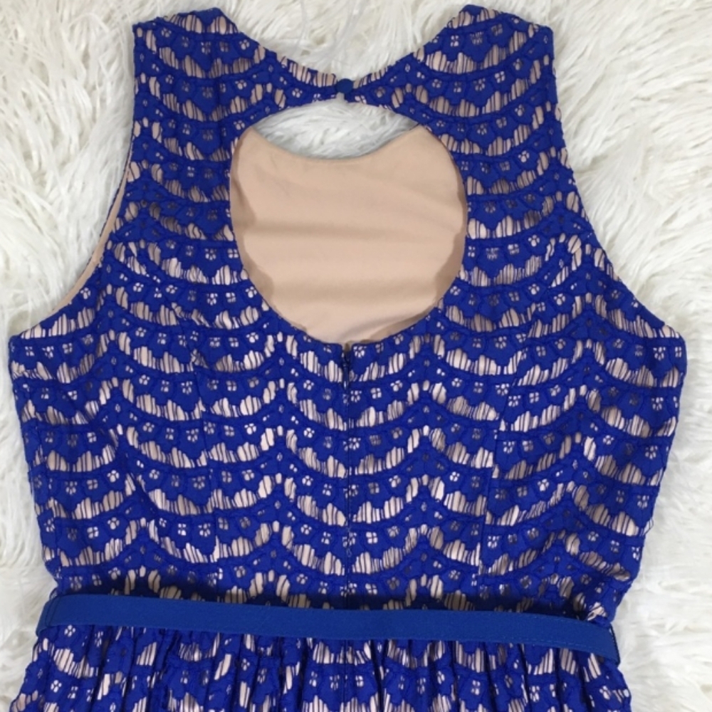 Eliza J Blue Lace Cobolt Blue Fit Flare Dress 14 - Picture 7 of 14